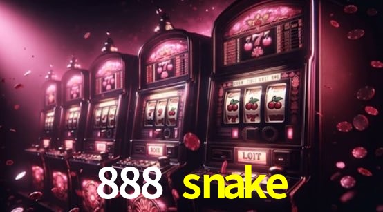 Interface Premium 888 snake