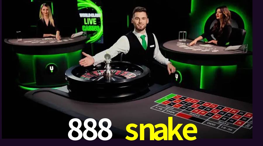 2FA Security 888 snake