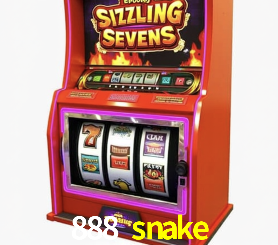 Security Systems 888 snake