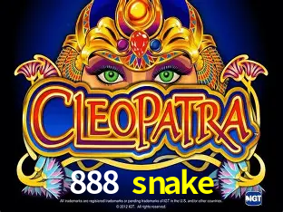 Cadastro rápido e seguro na 888 snake