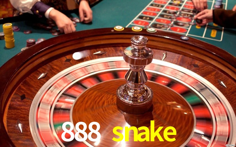 Interface Premium 888 snake